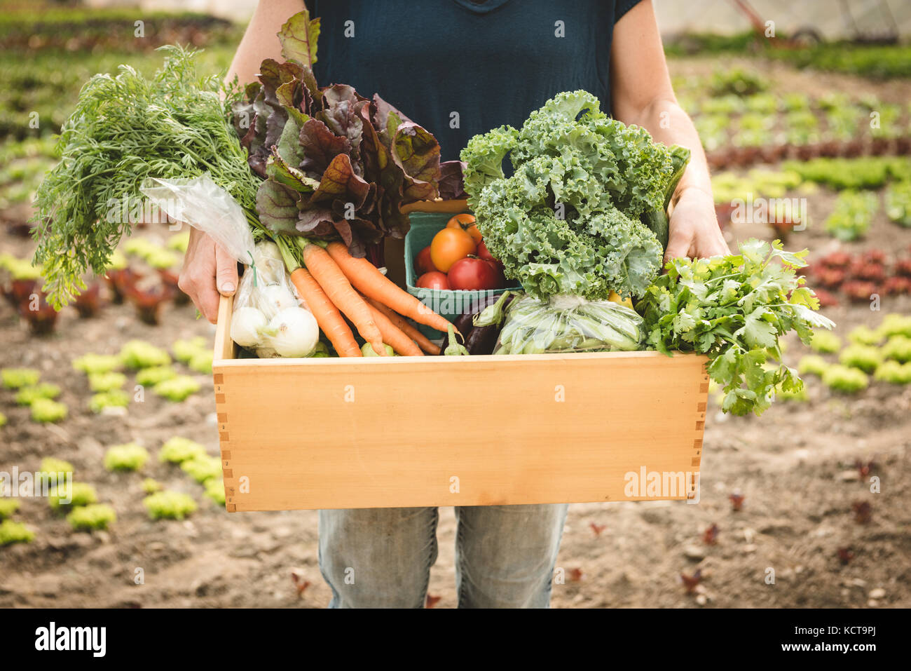 Mid-section of female farmer holding crate full of vegetables in field ...