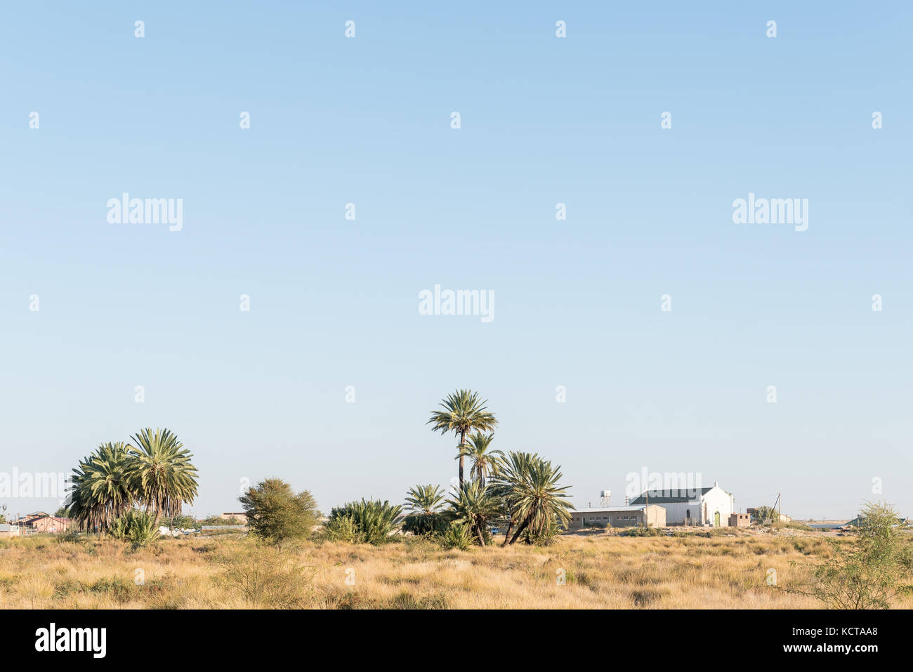 A view of Rietfontein, a small town in the Northern Cape Province of South Africa on the border with Namibia. A fountain is between the palm trees Stock Photo
