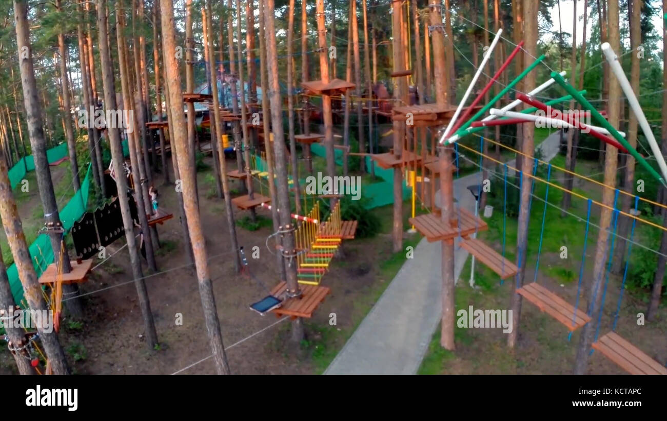 Rope park in the park knot of rope. high ropes course in forest