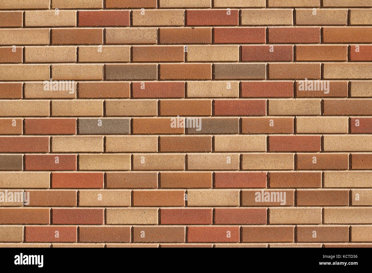 Attractive modern brick wall background with varying shades of light
