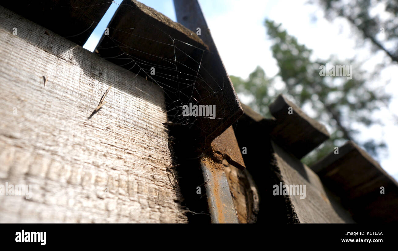 Old Cobwebs in abandoned house. The spider net under the roof. Cobwebs under the roof Stock Photo