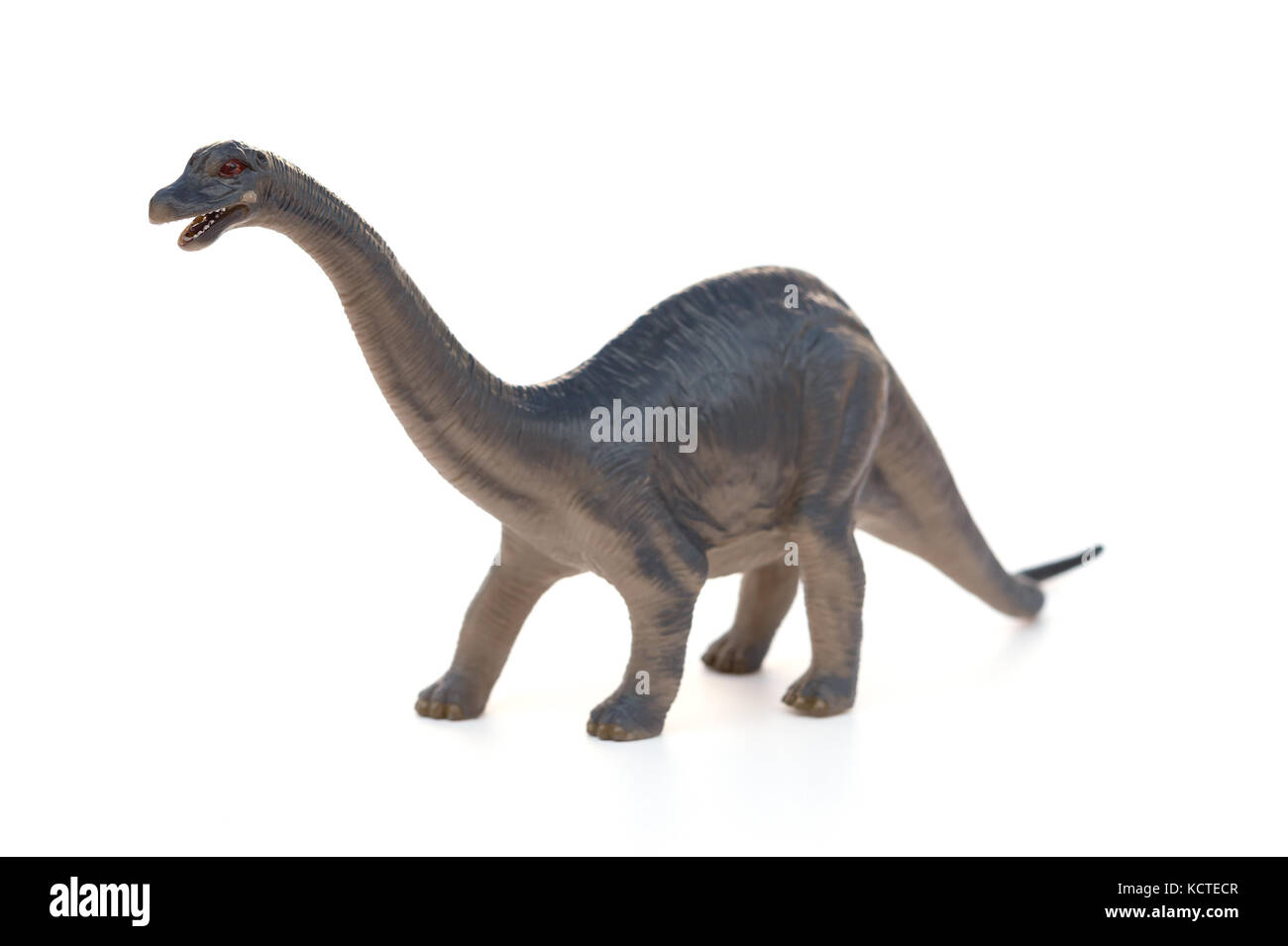 Diplodocus toy on a white background Stock Photo