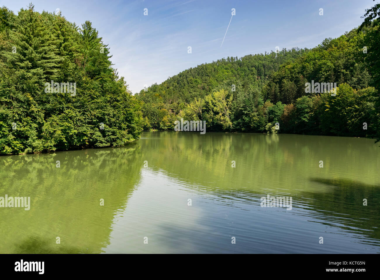 Scenic View Of Lake Vida Surrounded By Forest Against Cloudy Sky Near Luncasprie Village In Romania Stock Photo