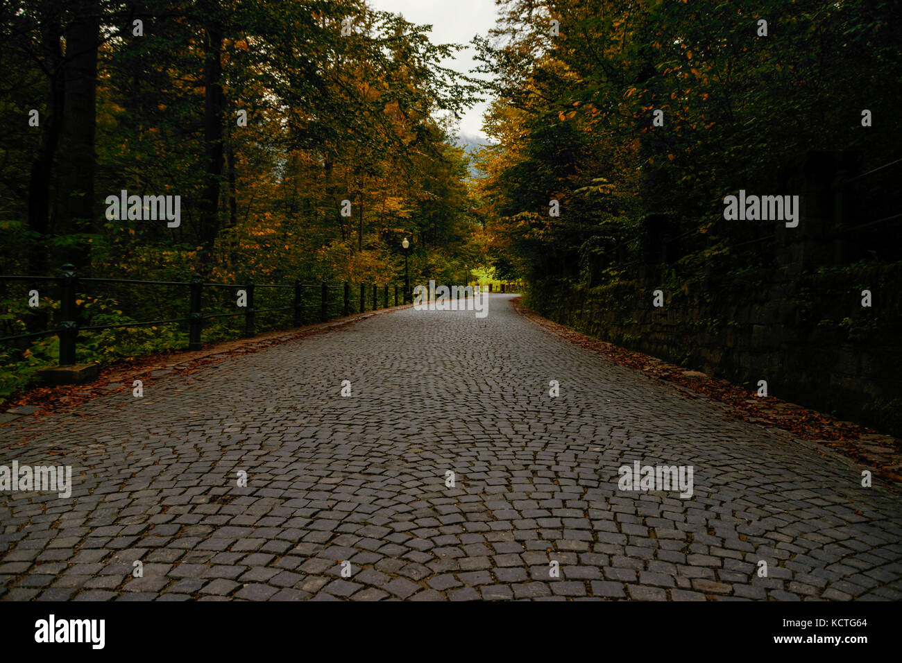 Scenic View Of Mysterious Cobblestone Alley Against Overcast Sky During Autumn Stock Photo