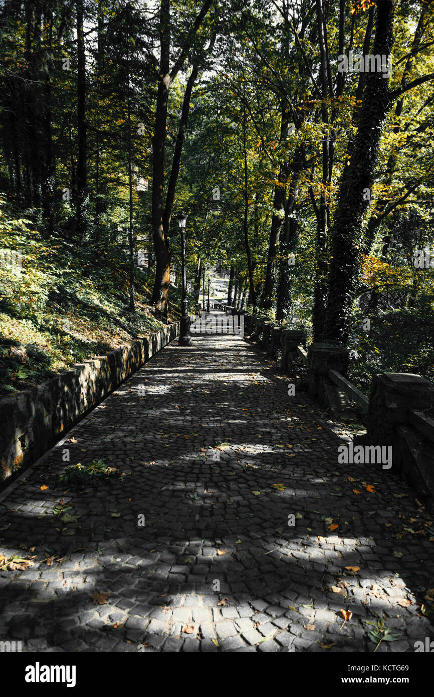 Radical Diminishing Perspective Of Beautiful Cobblestone Alley Surrounded By Trees During Autumn Stock Photo