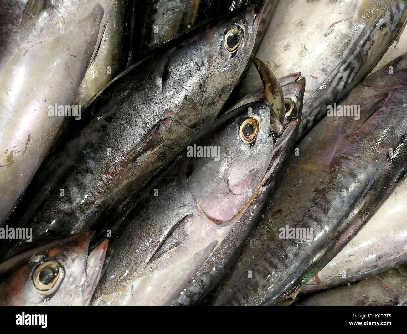 fresh fish at market Stock Photo Alamy