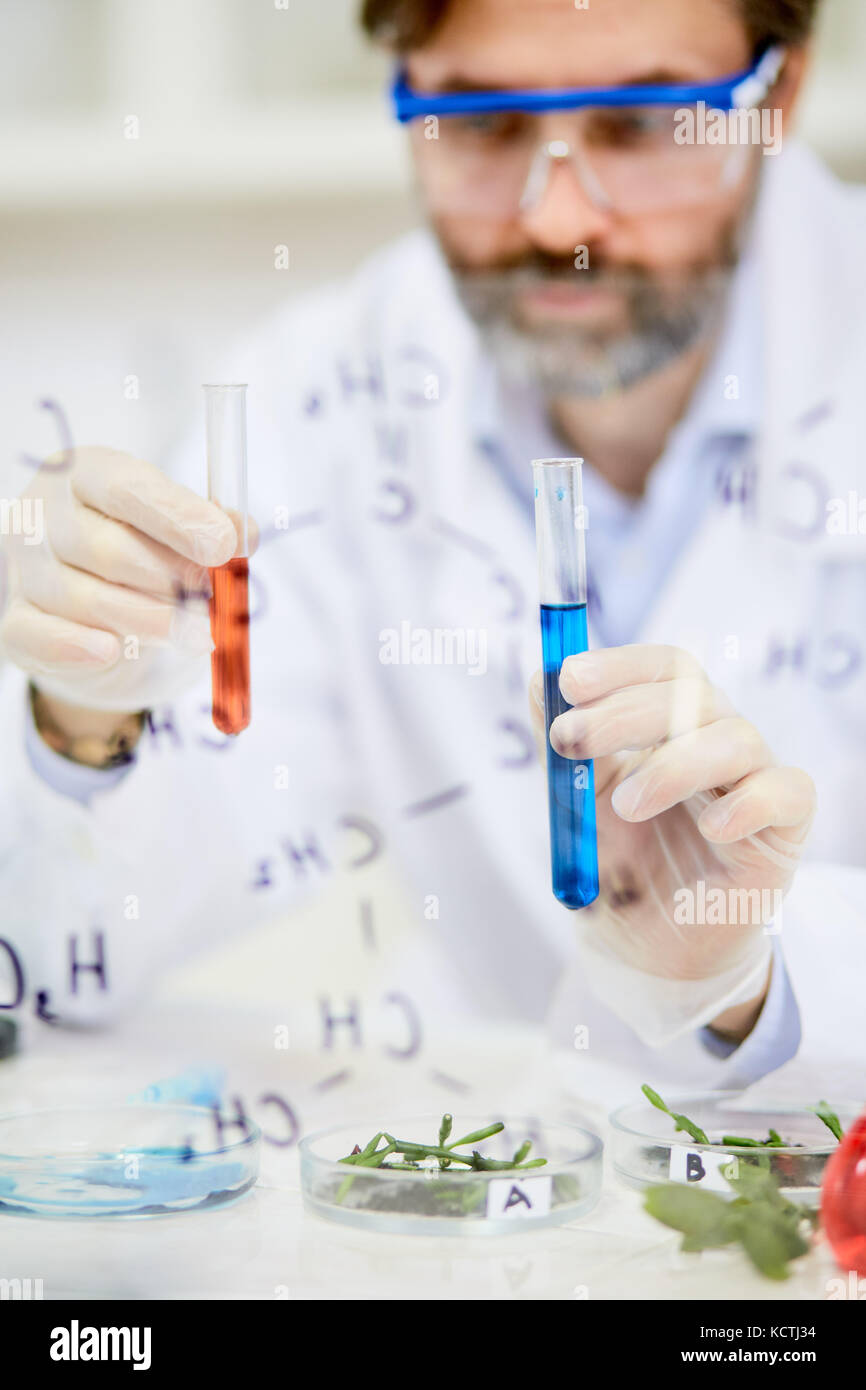 Bearded Microbiologist at Workplace Stock Photo
