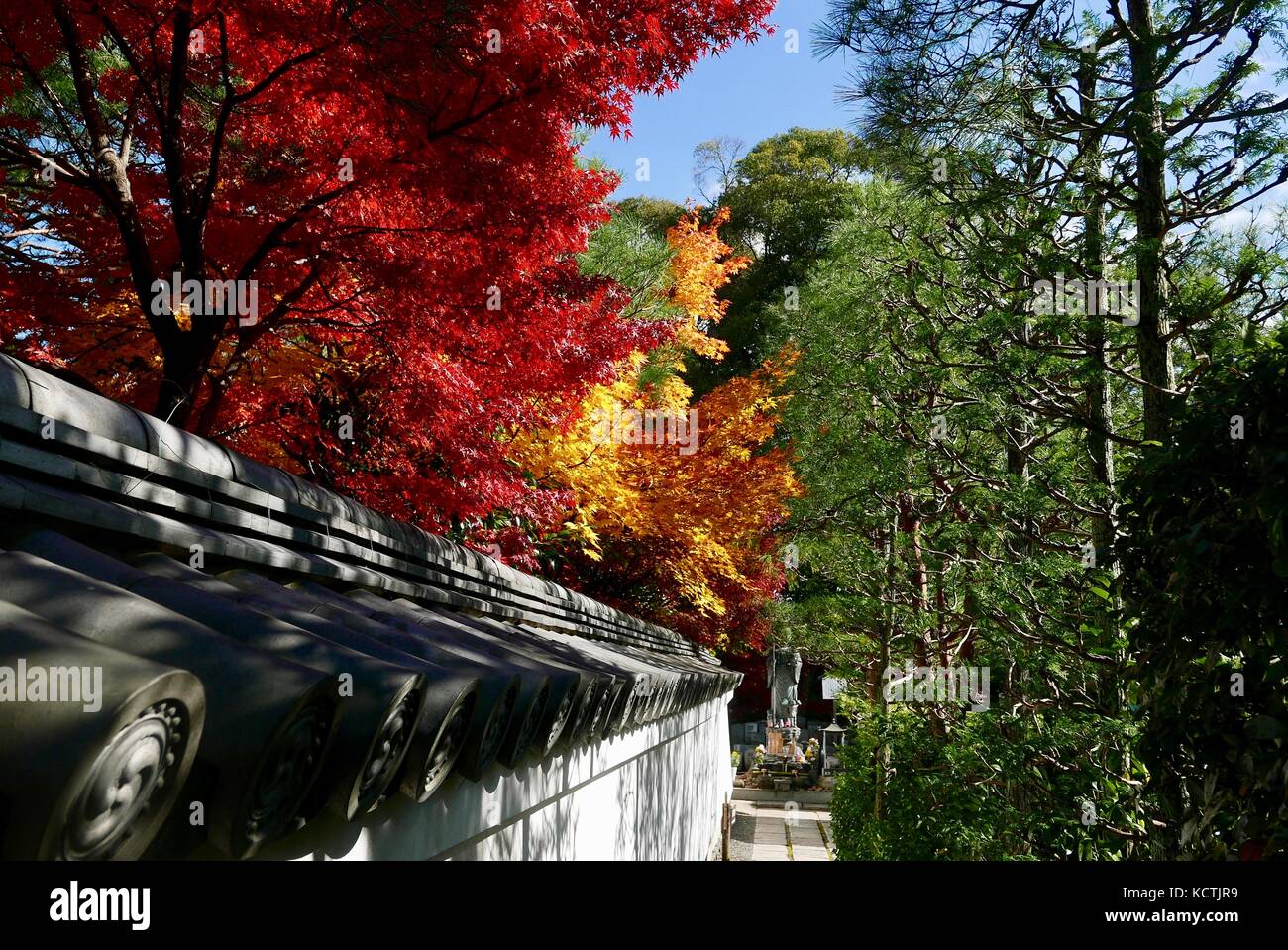 Myoshin-JI gardens in Kyoto Autumn Stock Photo