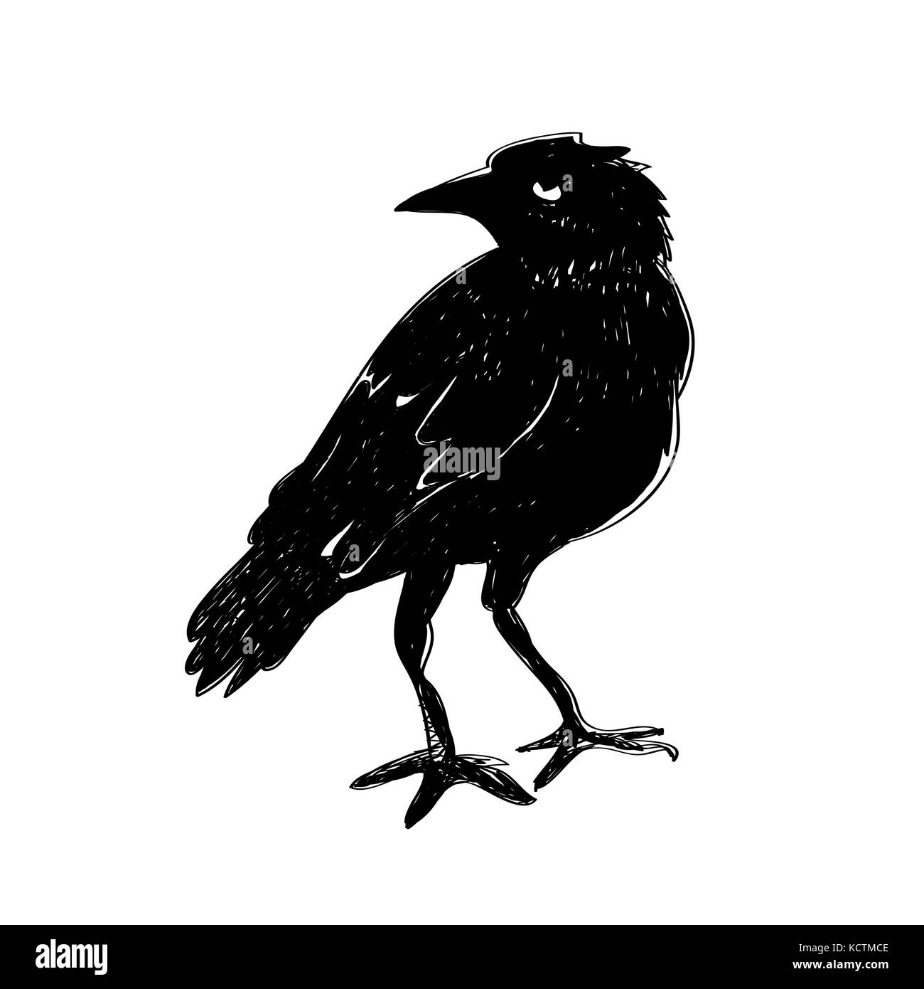 Black raven isolated on white background. Hand drawn crow. Stock Vector