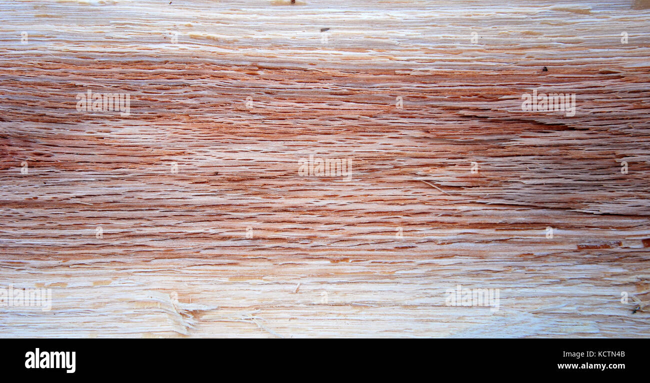 Wooden Background, texture of a tree trunk Stock Photo - Alamy