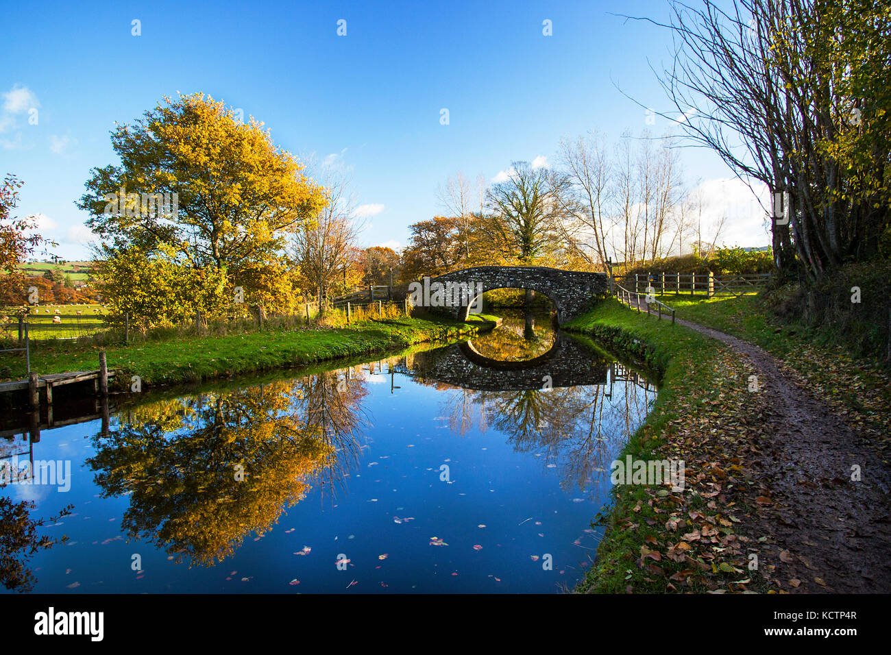 Reflections of colourful autumn trees and canal bridge on the Monmouth and Brecon Canal Stock Photo