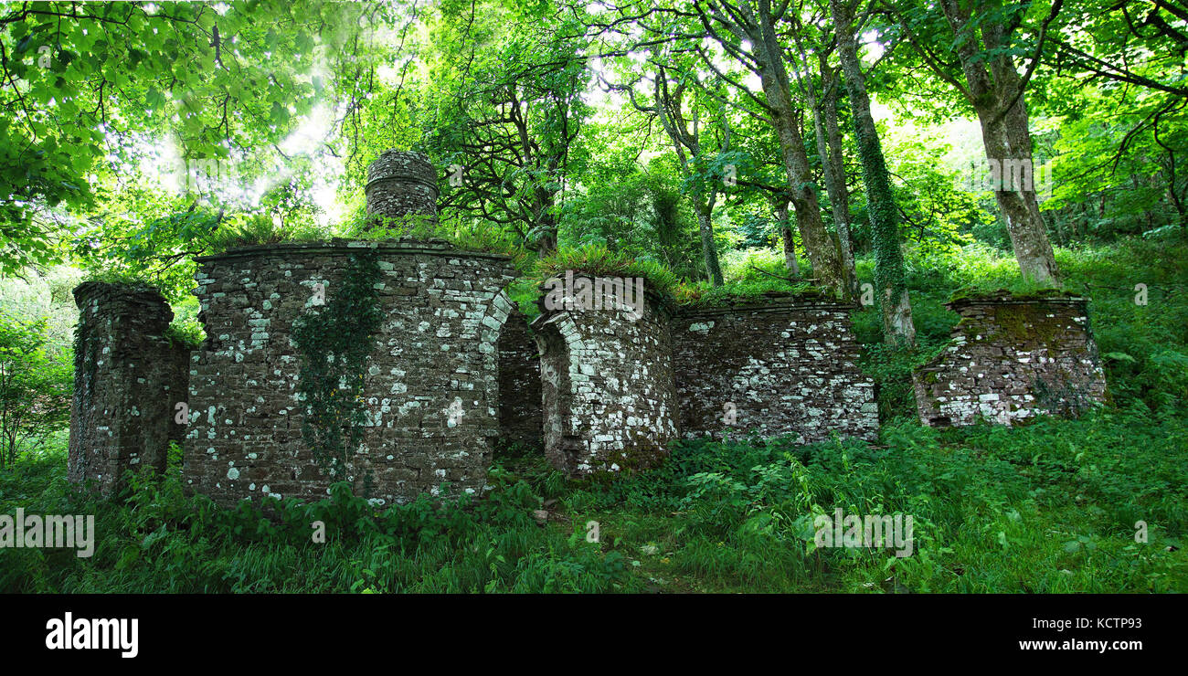 Ruins of the Paragon Tower in sunlit woodland near Tal y Bont on Usk Stock Photo
