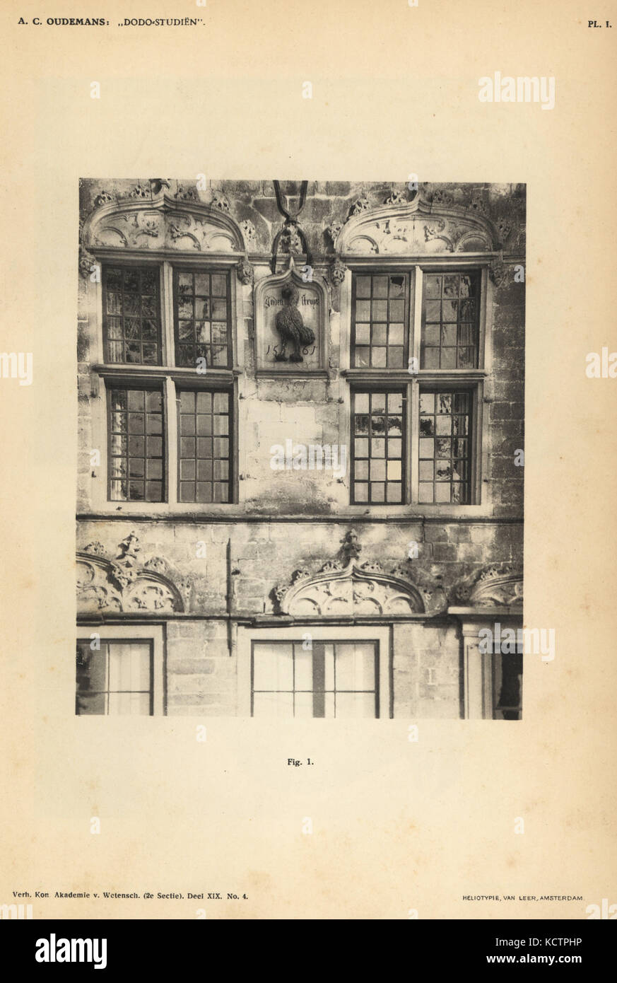 Dodo statue on the facade of the Scotch House in Veere, the Netherlands, 1561. Heliotype by Van Leer from Dr. Anthonie Cornelis Oudemans' Dodo Studies, Amsterdam, Johannes Muller, 1917. Stock Photo
