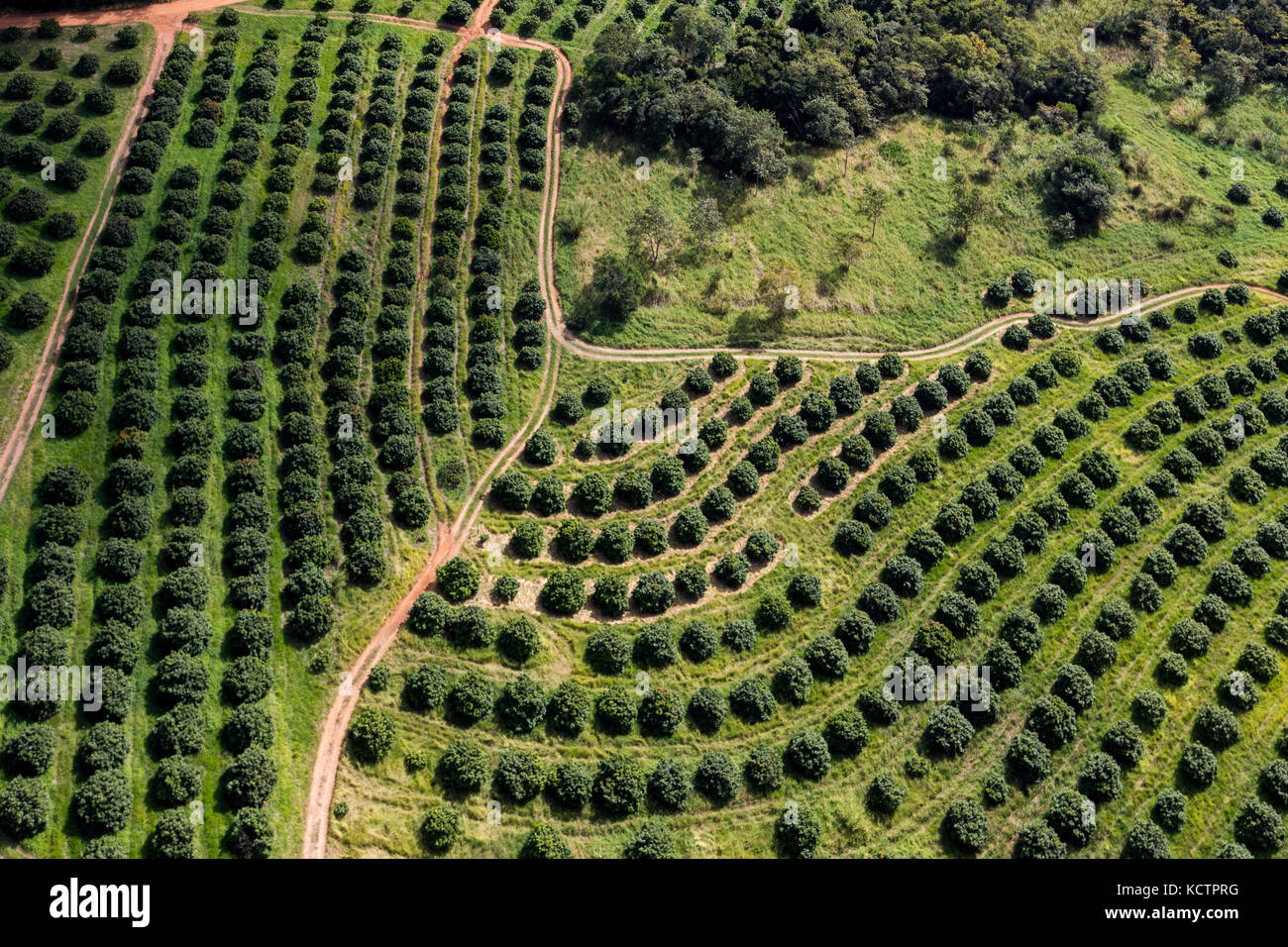 aerial view of a farm at Jundiaí - Brazil Stock Photo
