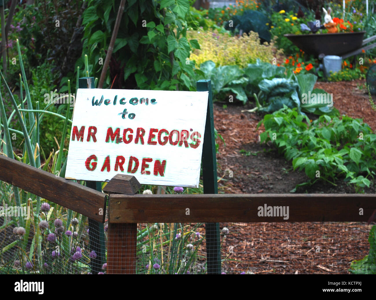 Children's Garden - Skagit Valley, Washington State, USA Stock Photo