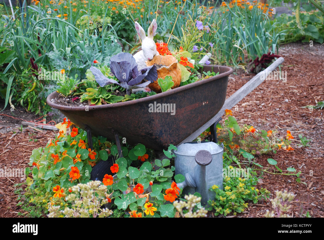 Children's Garden - Skagit Valley, Washington State, USA Stock Photo