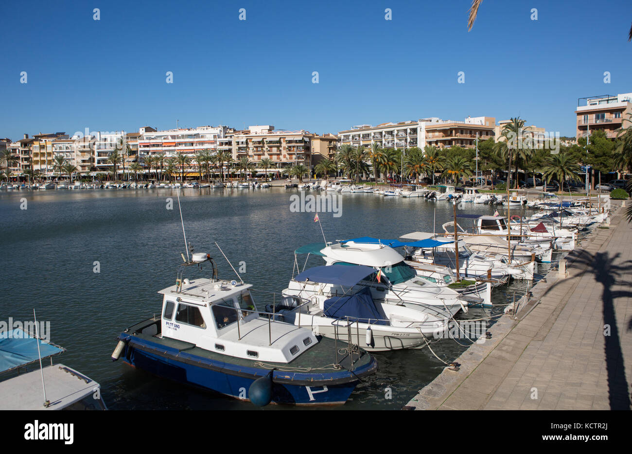 Boats moored at harbour, buildings and palm trees in background, Puerto de Alcudia, Alcudia, Majorca, Balearic Islands, Spain. Stock Photo