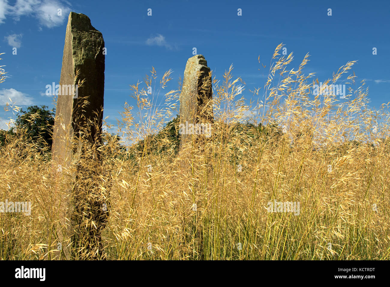 Stone Sculptures in long grass at RHS Gardens,Harlow Carr,Harrogate
