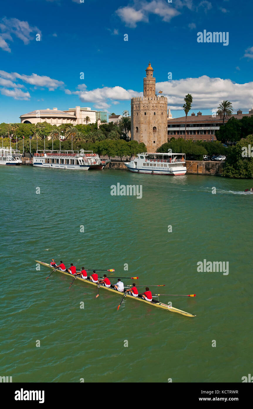Guadalquivir river, Torre del Oro and Rowing sport - eight  rowers with helmsman, Seville, Region of Andalusia, Spain, Europe Stock Photo