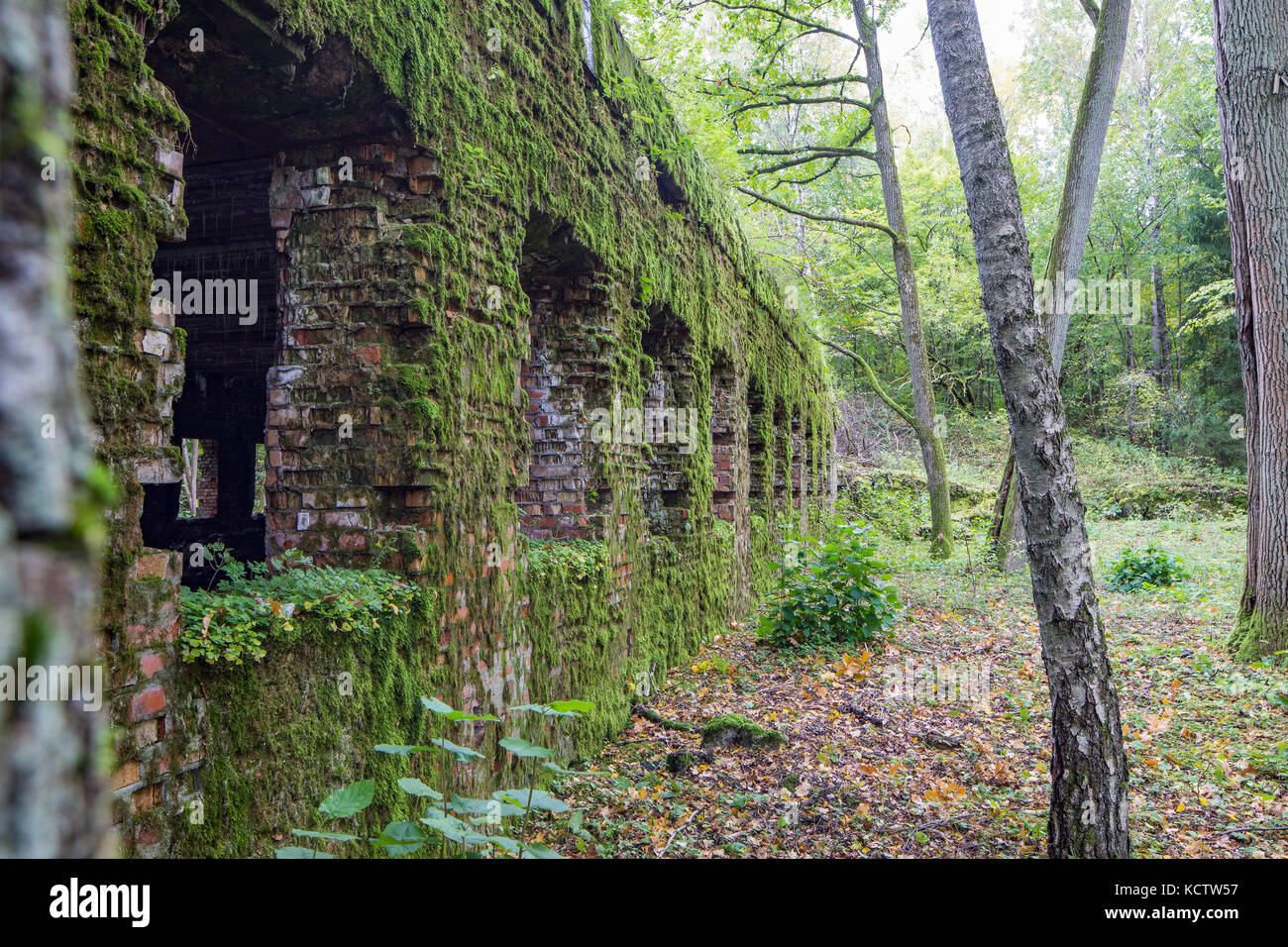 Wolfschanze, Wolf's Lair, Wolf's Fort - Adolf Hitler's headquarters on the Eastern Front during world war II. Rastenburg in East Prussia, Poland. Stock Photo