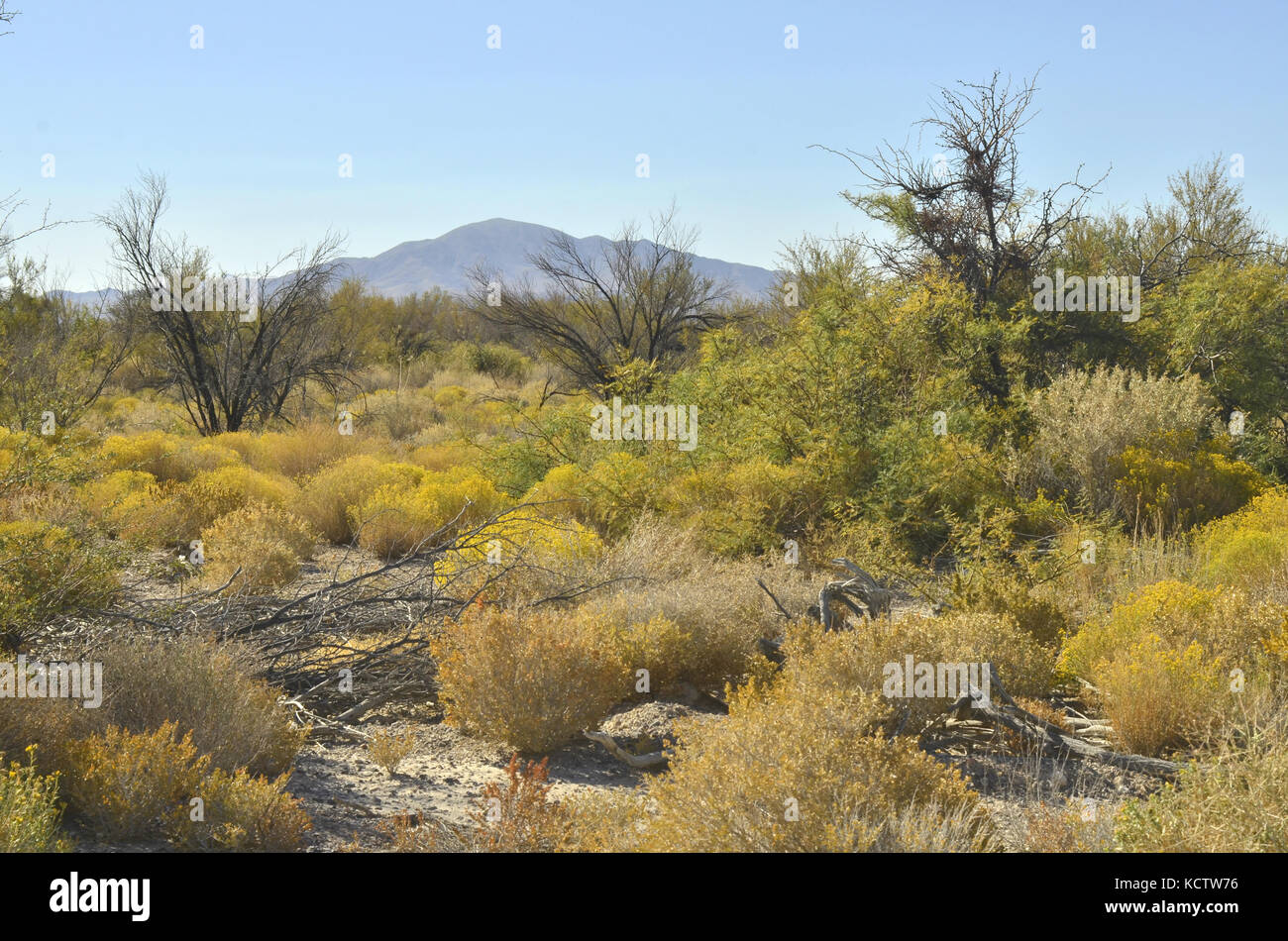 Mojave desert landscape with mountain Stock Photo Alamy