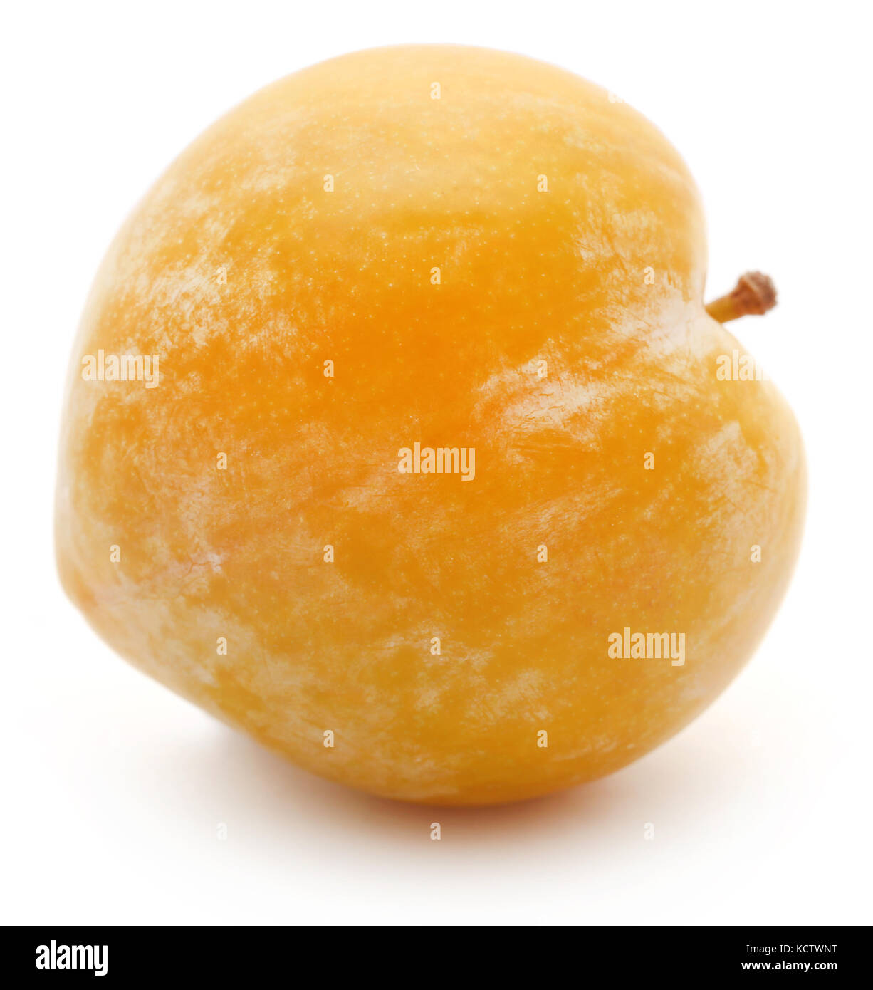 Single plum closeup over white background Stock Photo