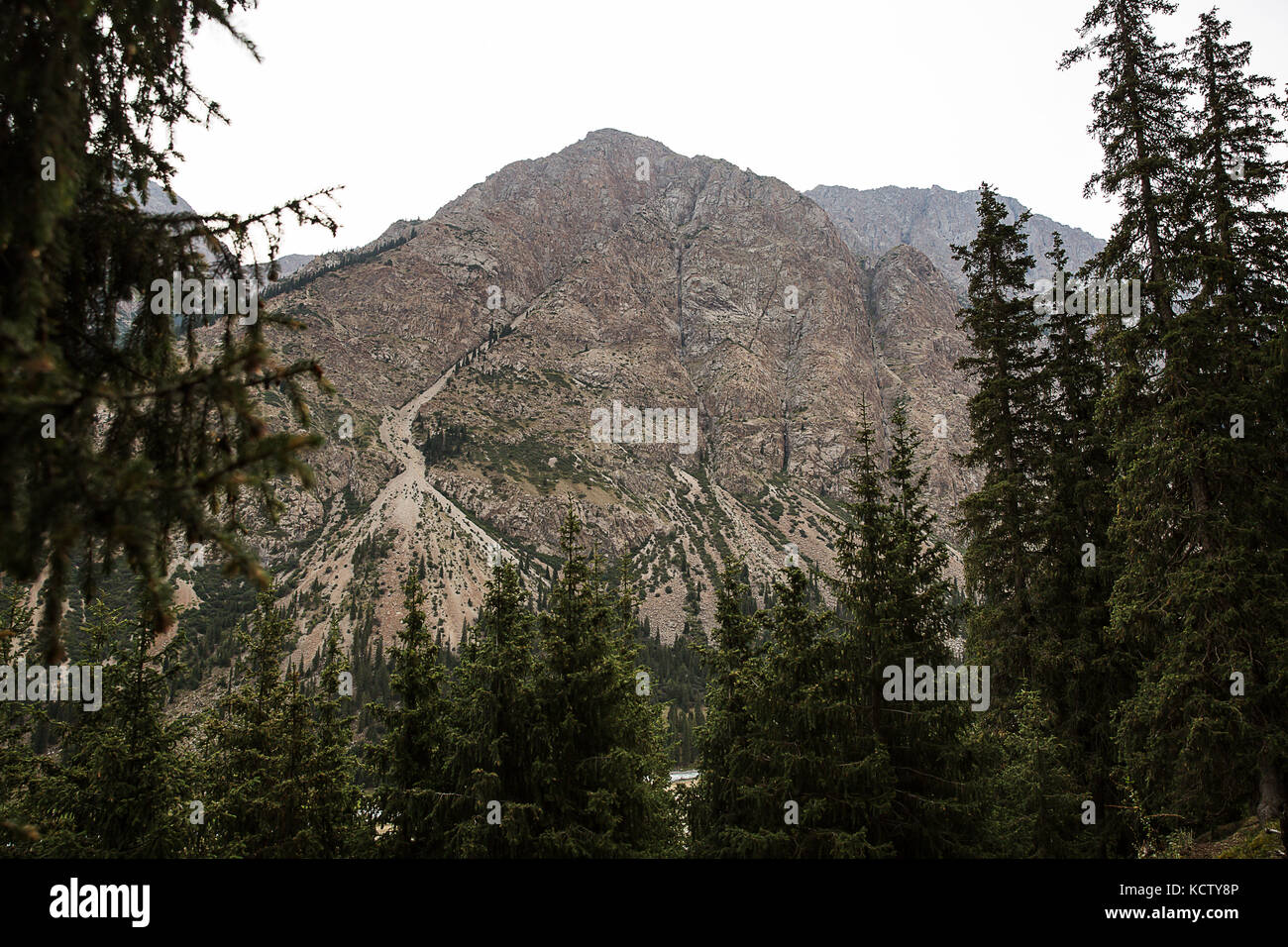 Kyrgyzstan. Gorge Barskoon. Beautiful view of the mountains covered with coniferous forest . Stock Photo