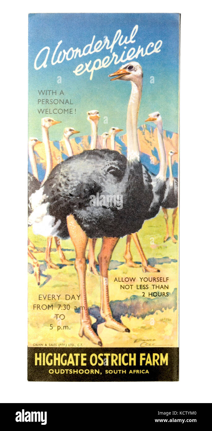 Vintage Guide to Highgate Ostrich Farm Stock Photo