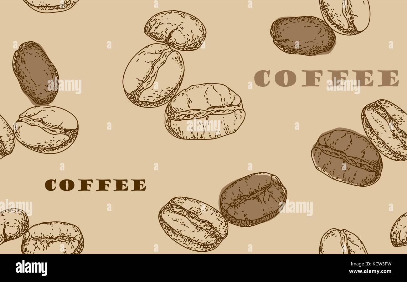painted coffee beans, sketch, vector drawing, perfect ingredient