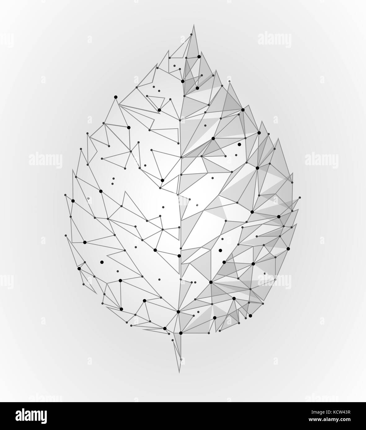 Connected dots point line triangle leaf. Eco nature concept on white background lights geometric poligonal low poly icon template vector illustration art Stock Vector