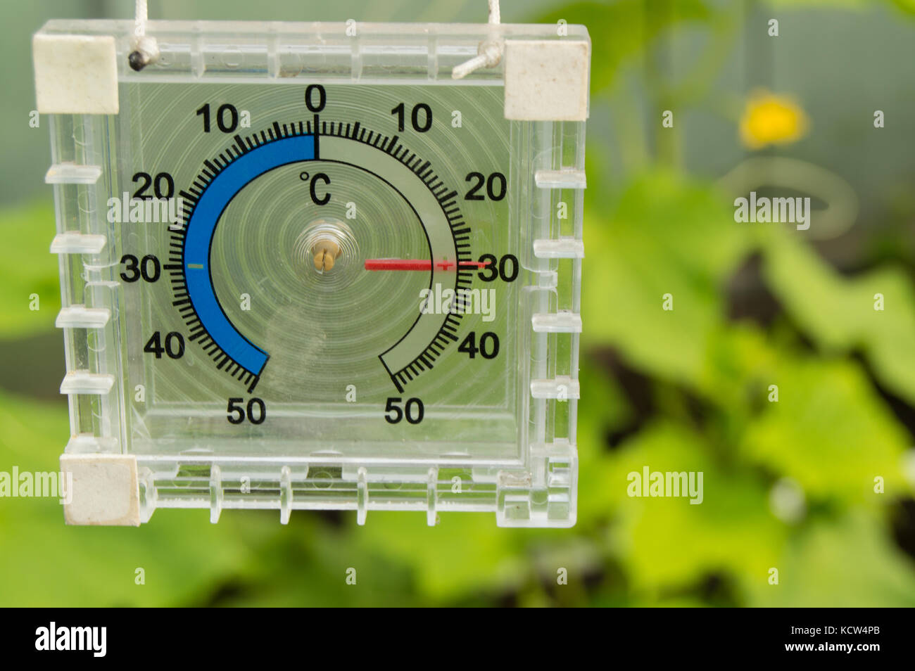 Thermometer for measuring air temperature in the greenhouse Stock Photo