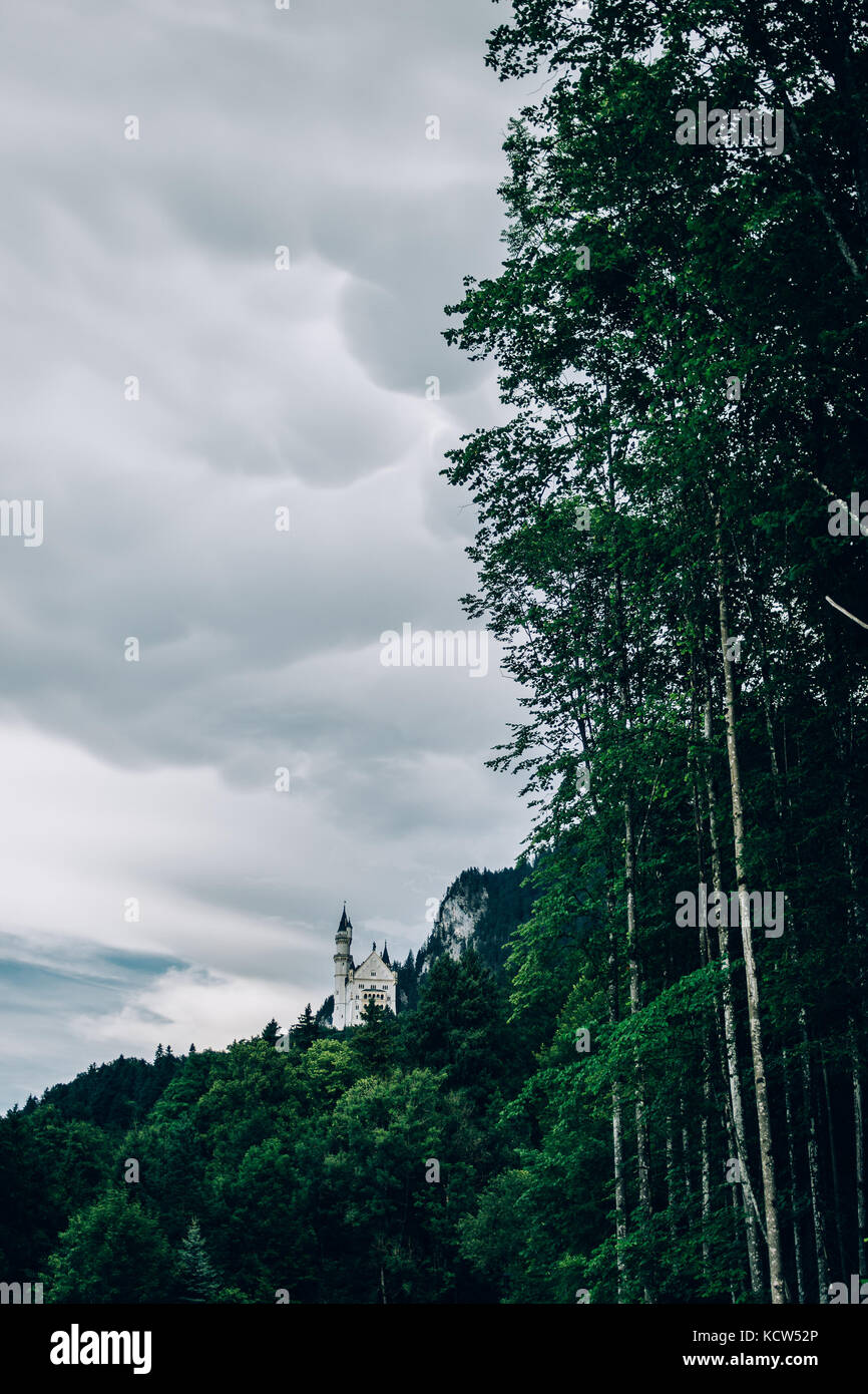 Neuschwanstein castle on a hill in the distance seen from below in a forest. Stock Photo