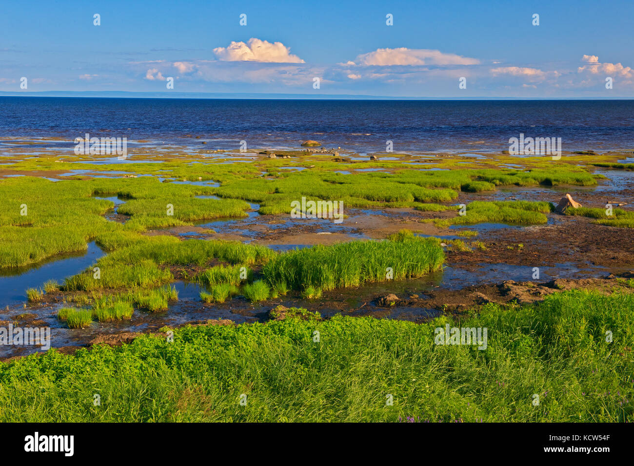 Rocky shoreline on the Gulf of St. Lawrence, LongueRive, Quebec