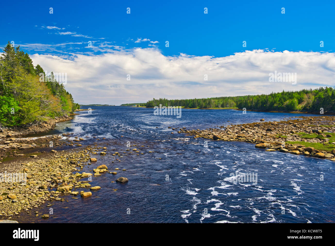 Isaac's Harbour River, Isaac's Harbour , Nova Scotia, Canada Stock