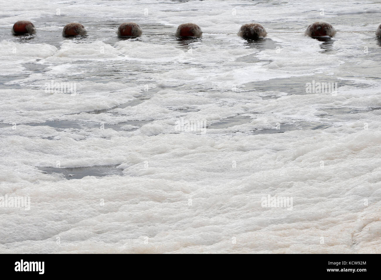 Foam on the surface of a river Stock Photo Alamy