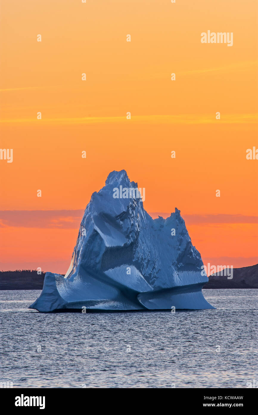 Icebergs in the Atlantic Ocean (Bonavista Bay ) at sunset, Eastport, Newfoundland & Labrador, Canada Stock Photo