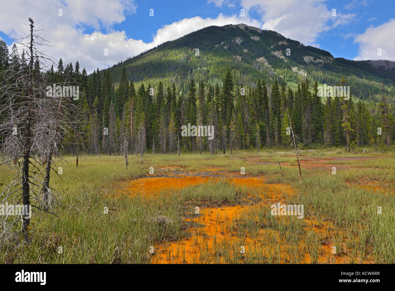 Paint Pots. Iron-rich cold mineral springs.  The Canadian Rocky Mountains, Kootenay National Park, British Columbia, Canada Stock Photo