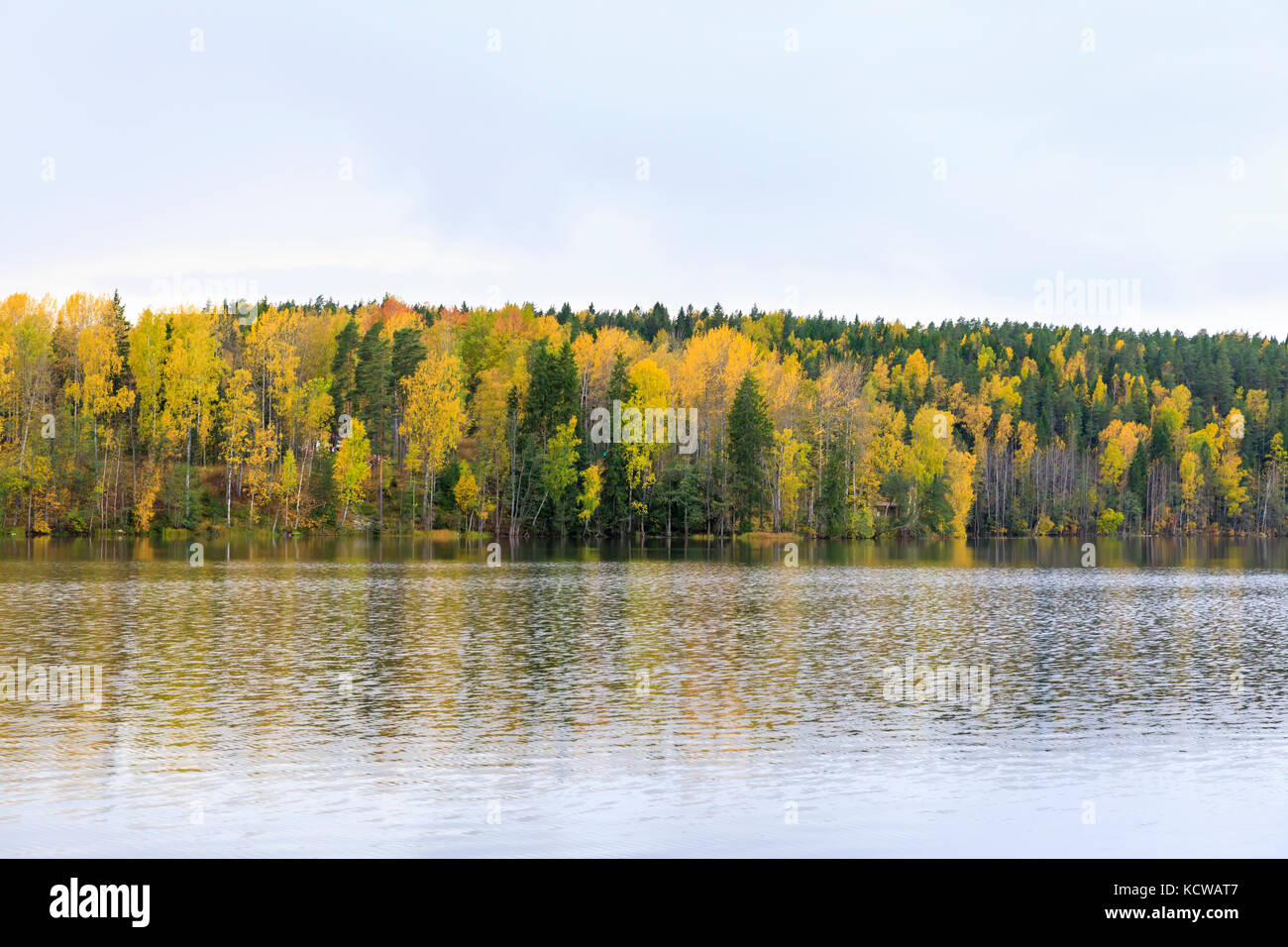 Nuuksio forest hi-res stock photography and images - Alamy