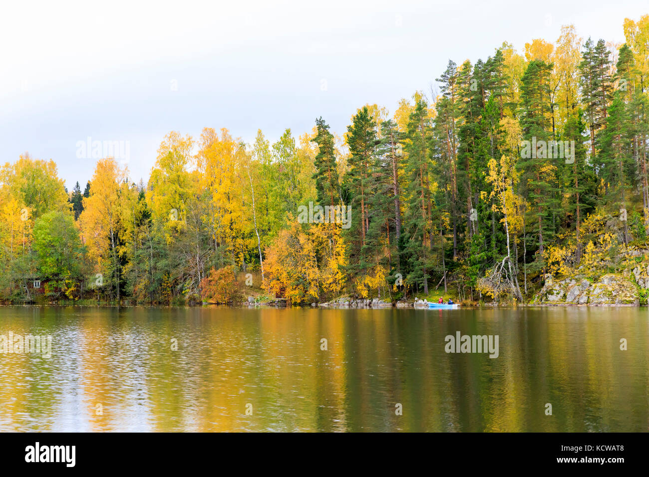 Autumn forest full of colors at lake shore Stock Photo - Alamy