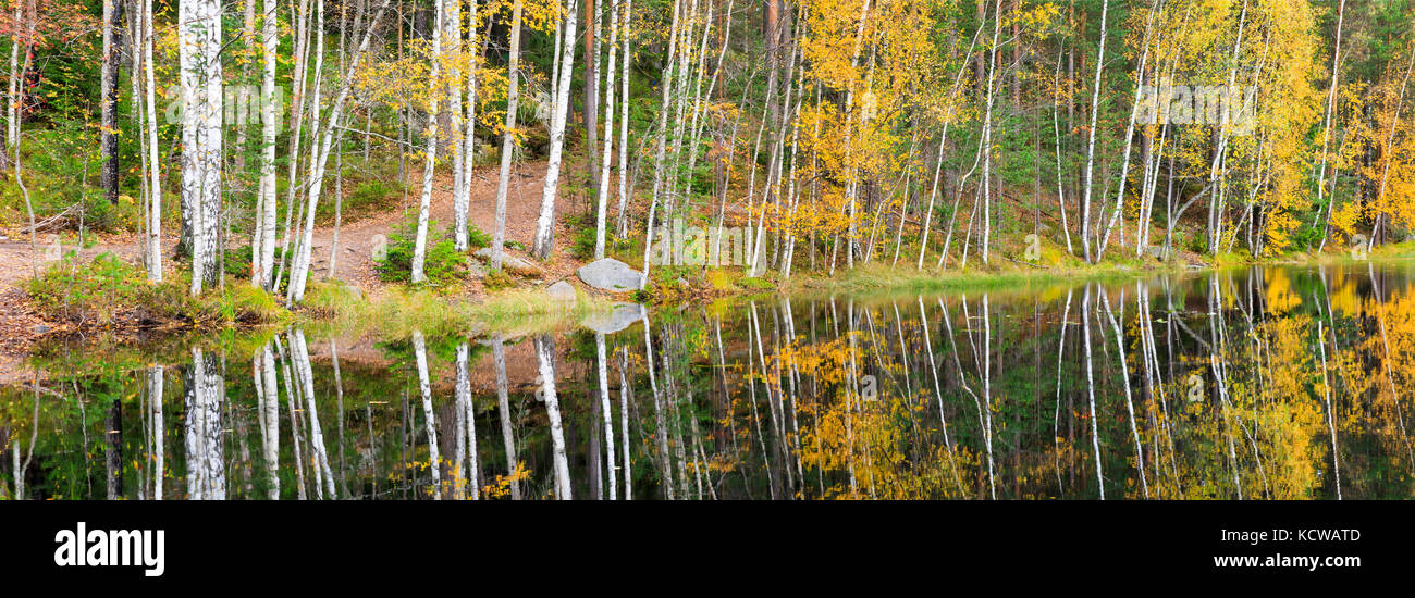 Autumn forest full of colors at lake shore Stock Photo - Alamy