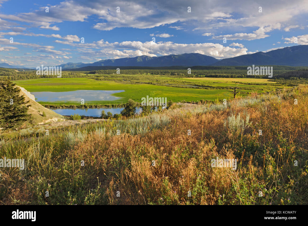 Looking south west across the Columbia Valley to the Purcell Mountains, Radium, British Columbia, Canada Stock Photo