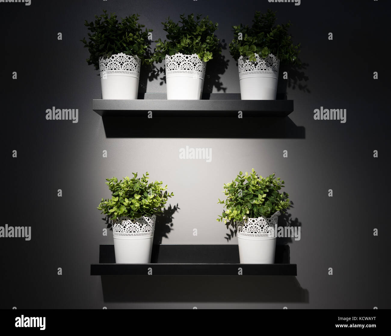 Many type of plant in the pots placed on the shelf Stock Photo