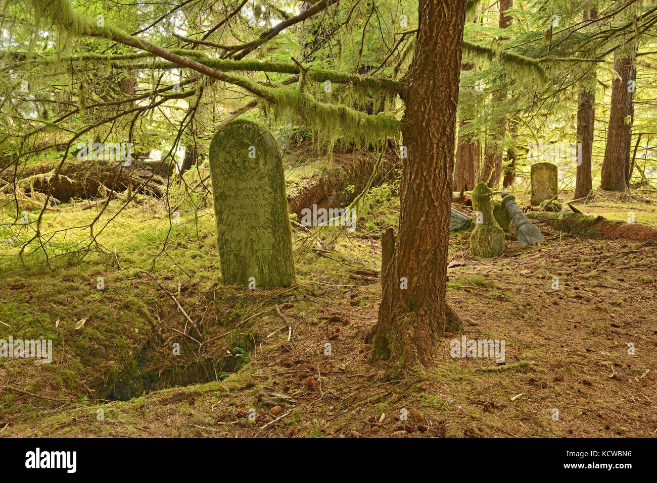 Pre 1900 burials at Mathers Creek on Louise Island, Haida Gwaii. thought to be of persons who had lived in the village of Clue. After this era the Clue inhabitants relocated to Skidegate, British Columbia., Haida Gwaii (formerly the Queen Charlotte Islands), British Columbia, Canada Stock Photo