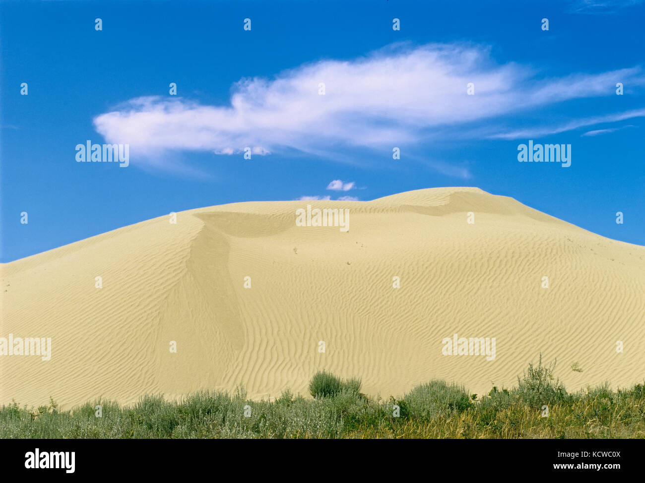 Cloud and sand dune, Great Sand Hills near Leader, Saskatchewan, Canada Stock Photo