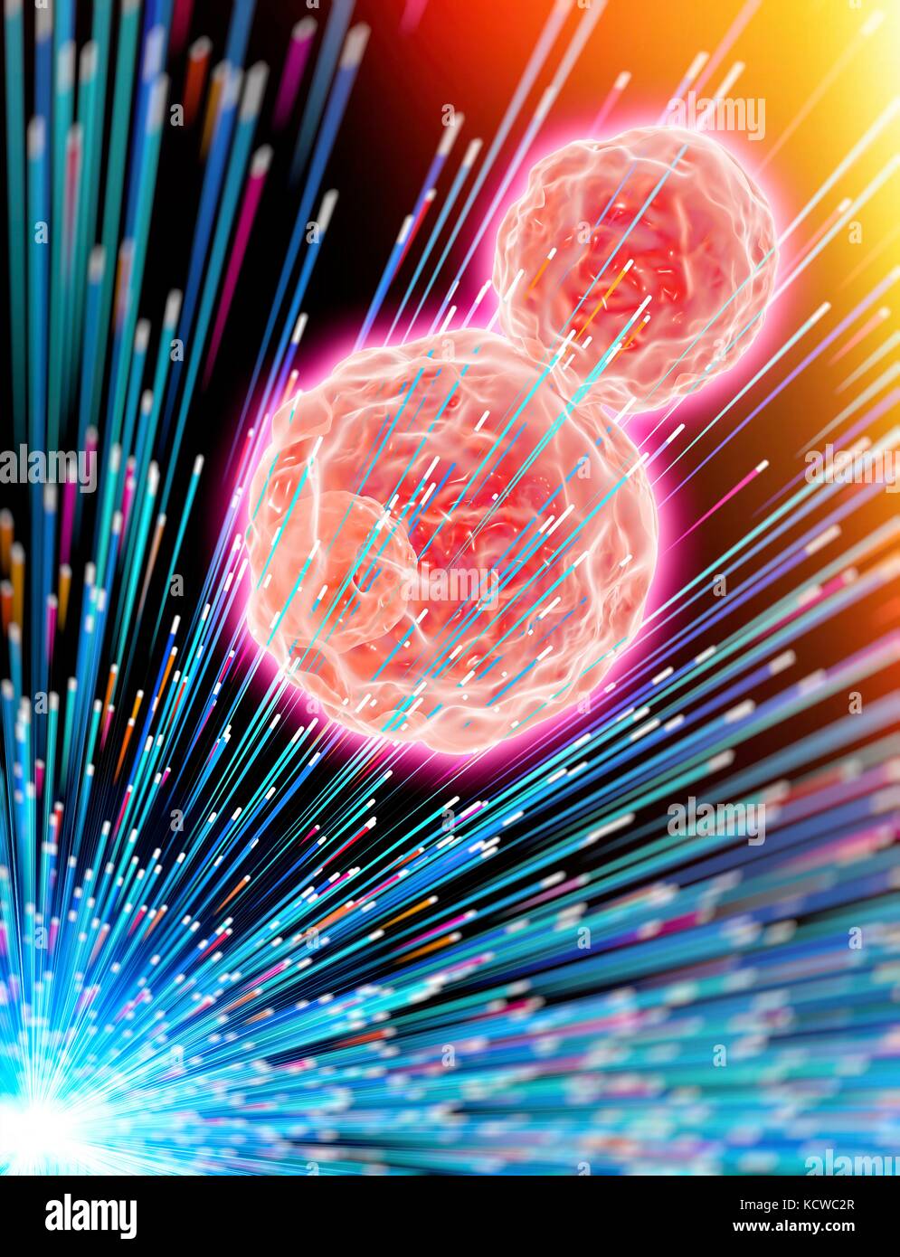 Cancer cells exposed to radiotherapy, conceptual computer illustration