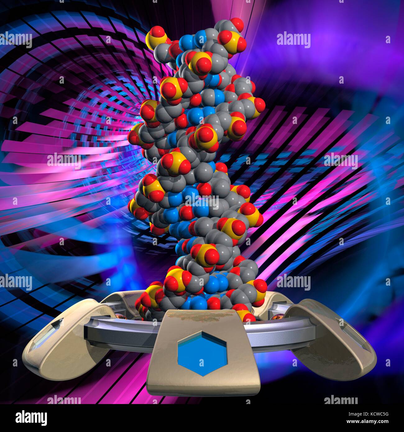 Conceptual illustration of a double stranded DNA (deoxyribonucleic acid) molecule with DNA generating or editing equipment. DNA is composed of two strands twisted into a double helix. Each strand consists of a sugar-phosphate backbone attached to nucleotide bases. There are four bases: adenine, cytosine, guanine and thymine. The bases are joined together by hydrogen bonds. DNA contains sections called genes that encode the body's genetic information. Atoms are represented as spheres and are colour-coded: carbon (grey), nitrogen (blue), oxygen (red) and phosphorus (orange). Stock Photo