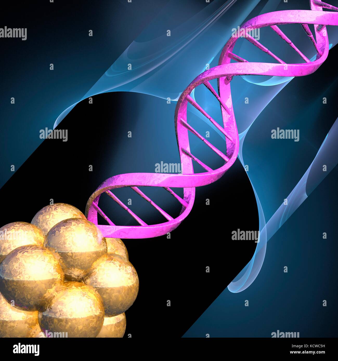 Conceptual illustration of a double stranded DNA (deoxyribonucleic acid
