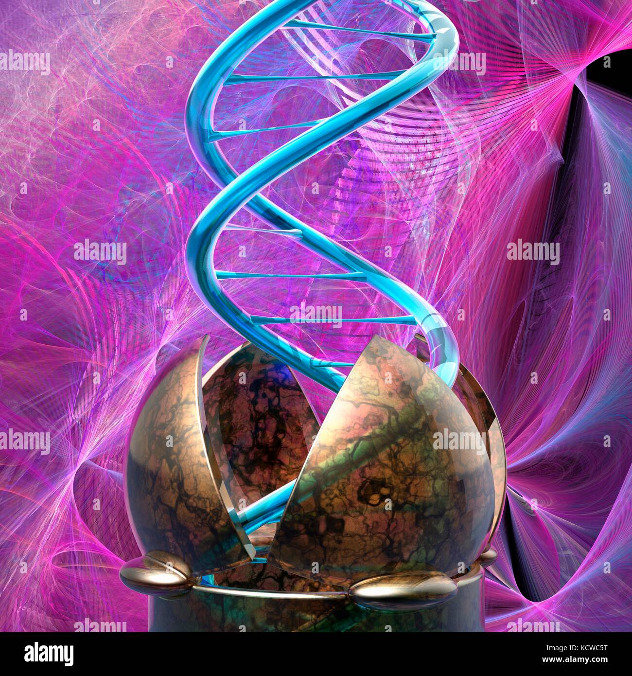 Two Stand Dna Conceptual illustration of a double stranded DNA (deoxyribonucleic acid ...