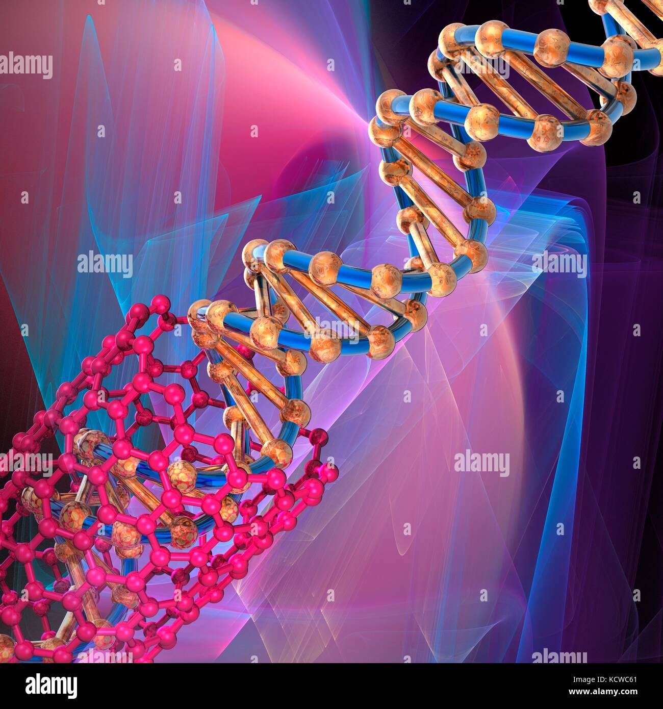 Conceptual illustration of a double stranded DNA (deoxyribonucleic acid) molecule coming out of a nanotube (not drawn to scale). DNA is composed of two strands twisted into a double helix. Each strand consists of a sugar-phosphate backbone attached to nucleotide bases. There are four bases: adenine, cytosine, guanine and thymine. The bases are joined together by hydrogen bonds. DNA contains sections called genes that encode the body's genetic information. Stock Photo