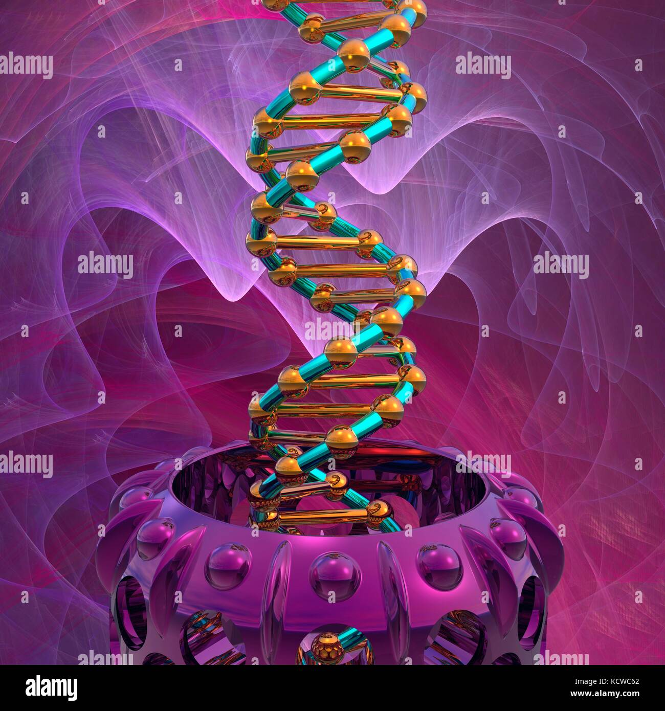 Conceptual illustration of a double stranded DNA (deoxyribonucleic acid) molecule with DNA generating or editing equipment. DNA is composed of two strands twisted into a double helix. Each strand consists of a sugar-phosphate backbone attached to nucleotide bases. There are four bases: adenine, cytosine, guanine and thymine. The bases are joined together by hydrogen bonds. DNA contains sections called genes that encode the body's genetic information. Stock Photo
